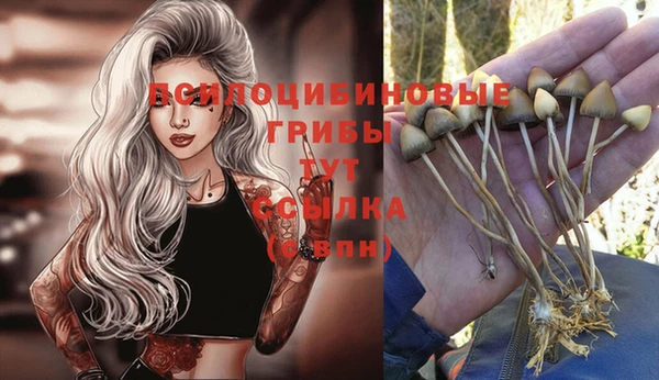 стафф Лихославль