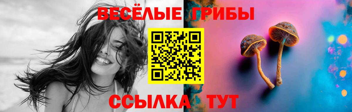 продажа наркотиков  Галлюциногенные грибы мухоморы  Кызыл  Вход с VPN  Галлюциногенные грибы мухоморы 